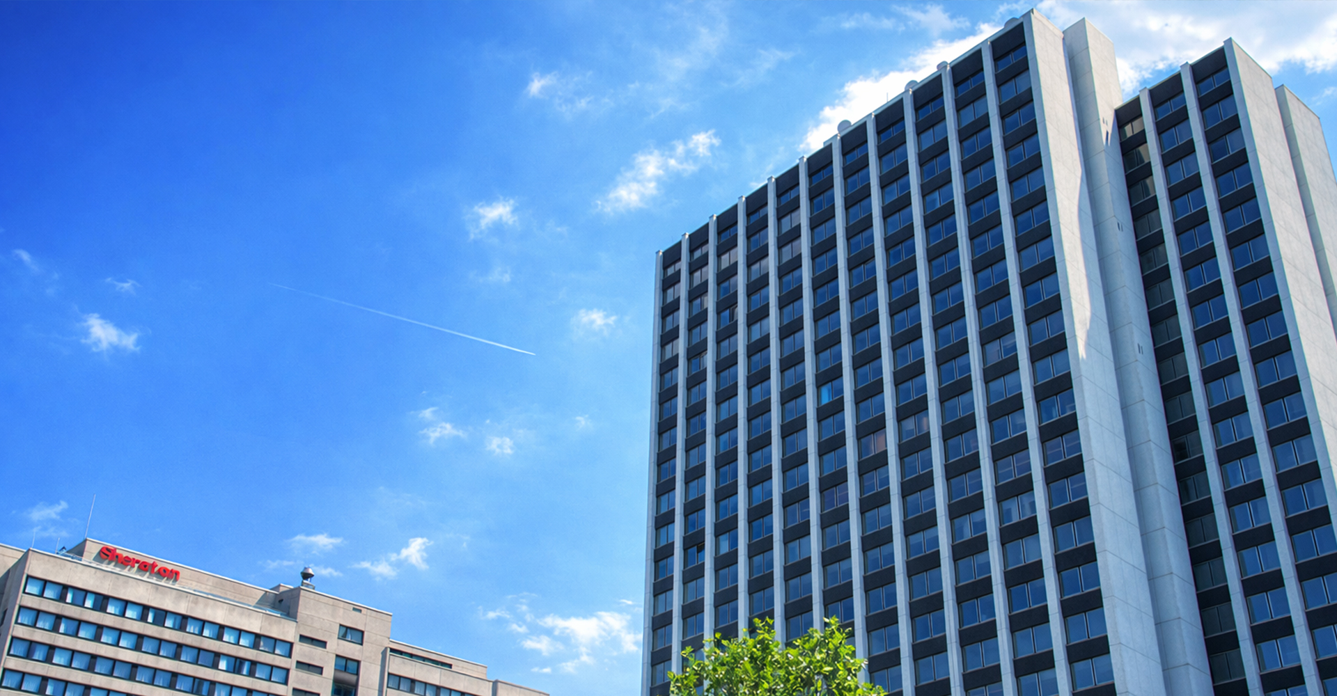 ALPHA COM Frankfurt a. M.