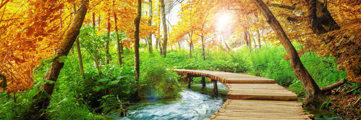 Herbst