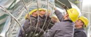 AC_HP_Kaefer_Header_Web1600